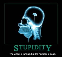 stupid